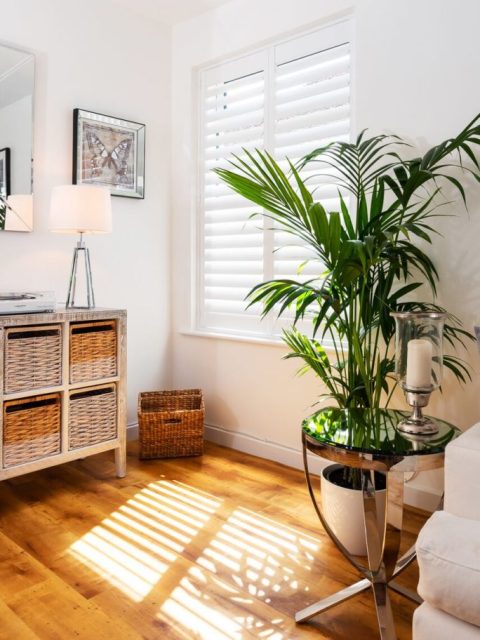Kent Shutters