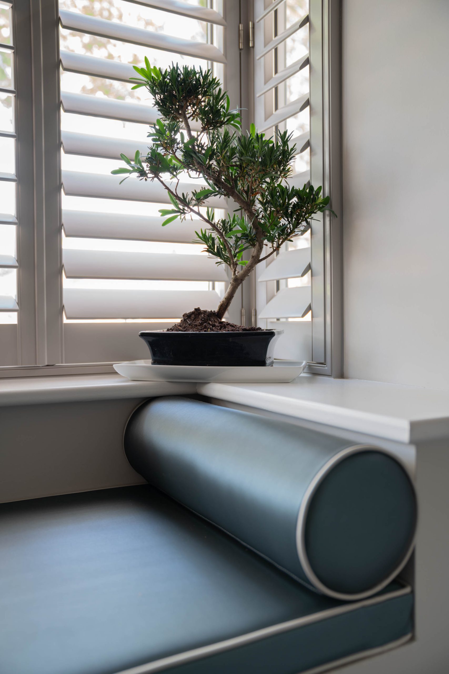 Just Shutters Contributing To A More Sustainable Future - Just Shutters ...