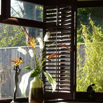 solid wooden window shutters